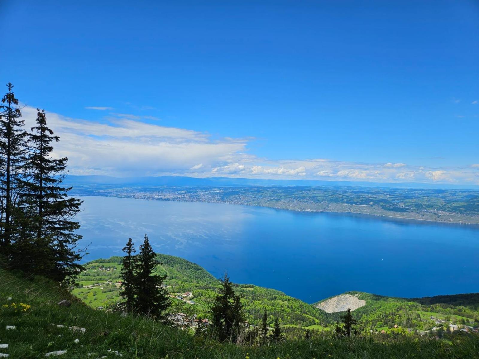 Chalet Les Alpages Vue Panoramique Sur Le Lac Leman Thollon-les-Memises Eksteriør billede